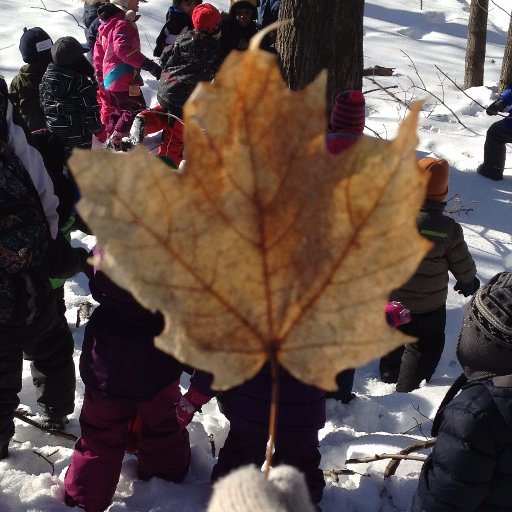 BRITsugarbush's profile picture. Making Maple Syrup in Downtown Mississauga for Peel Students every spring - can't wait to catch the magic