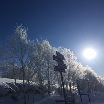 横浜市立大学医学部スキー部です！一緒にスキーしませんか⁇😎最初はみんな初心者！1年でかっこよく滑れるようになります！大学生活、仲間と一緒に楽しく！！スキーをしましょう😂