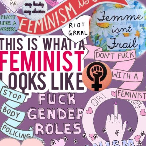 Feminist, gender is a social construct, I’m a real live female human being. #notcis #sexnotgender #adulthumanfemale