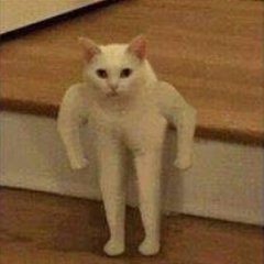 Michael_beatbox's profile picture. Amigo