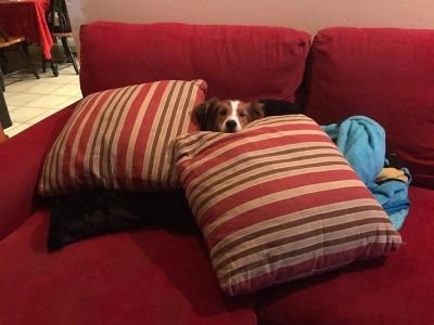 AlbanyTed's profile picture. Seeking truth. The press are not journalists anymore, just cheerleaders