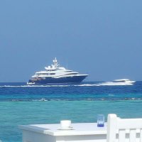 joe jordan (@joesnews36) 's Twitter Profile Photo