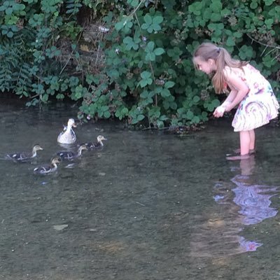 Goo29018606Andy's profile picture. 