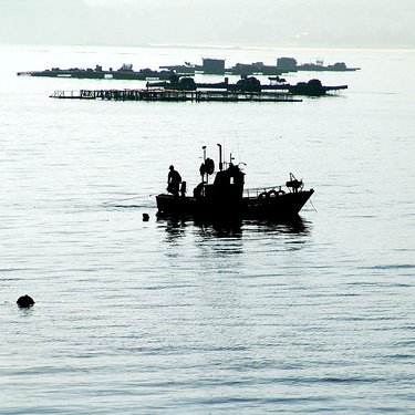 SondeBueu's profile picture. Fotografía, leer, cine, e un pouco de todo.