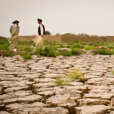 We are a group of VHHS student activists fighting to prevent desertification in the Sahara and Sahel regions of Africa.