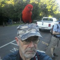 Birdman(@clwydforest) 's Twitter Profile Photo