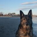 Albert Dente - @jjaldente - Twitter