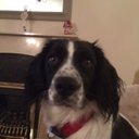 Eddie Sinclair - @thefat_neck_boy - Twitter