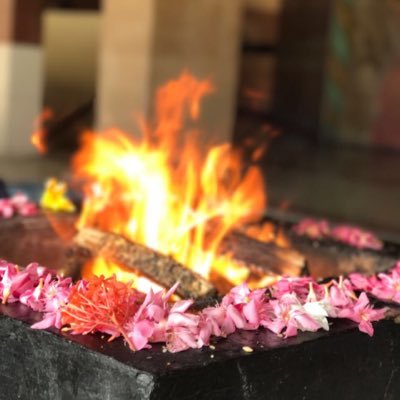 ArvindMalik2017's profile picture. 