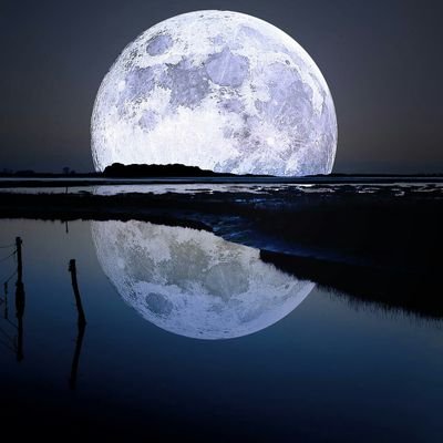 DANIELA75331324's profile picture. 
