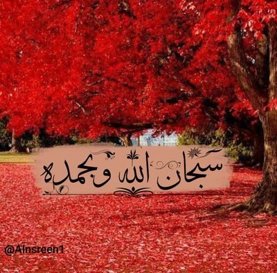 Bestthanuthink's profile picture. تعلق بالله ولا تبتئس فمن فقد الله فماذا وجد .. ومن وجد الله فماذا فقد ..