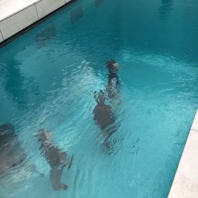 soonmoon321's profile picture. 怪力や体格差などが好きです。