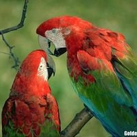 justinnirmalkum's profile picture. 