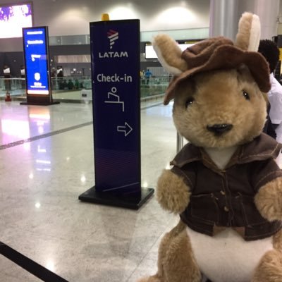 G'day, the name's Bartholomew Theodore Nuffield. Barry or Baz for short. In 2017 I became the official mascot for Nuffield Australia's Farming Scholars!