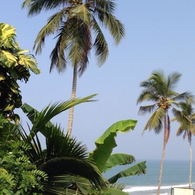 vava313_v's profile picture. 