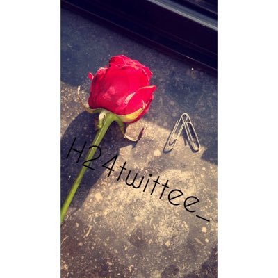 h24twittee_'s profile picture. || compte de citation 🌅|| DAHKA POUR TOUS🖐🏻🖐🏼🖐🏽🖐🏾🖐🏿 || SUIS LE DROIT CHEMIN🕋