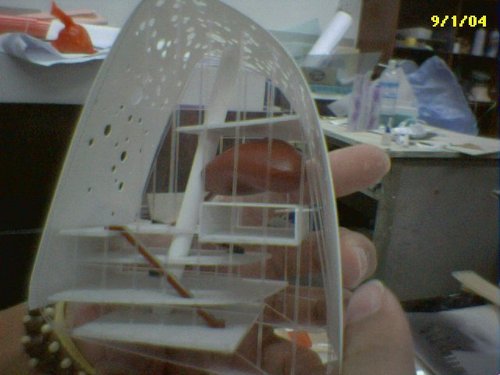 angster01's profile picture. 