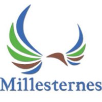 Millesternes (@millesternes) 's Twitter Profile