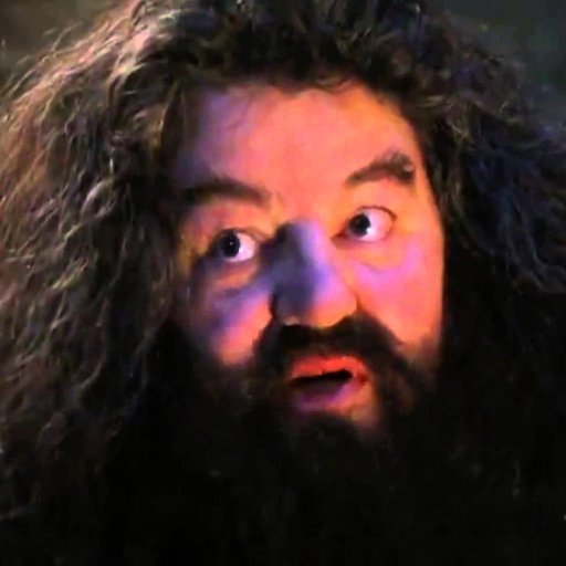 Hagrid_Says Profile Picture