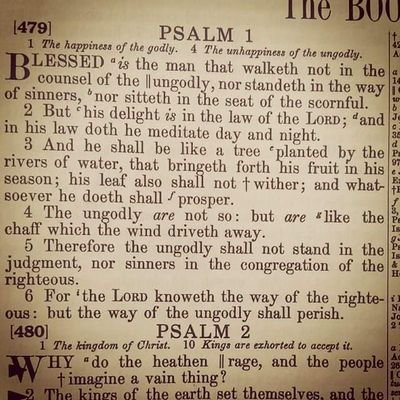 I'm a Child of God, Even with all my Hurts, Hangups and Habits, The one true God still loves me and shines his light for me to follow