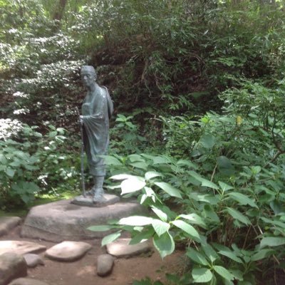 roadtothepurity's profile picture. 前橋→サイタマ⁇@高崎卓遊会 ラーメンしか食べてない人