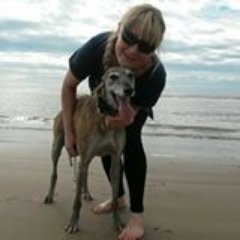 Beautiful handmade martingale and quick release buckle dog collars. Unique and unusual designs.