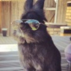 thedangerousdag's profile picture. an ordinary Polish girl.