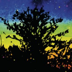 Isa__Baas's profile picture. yeah