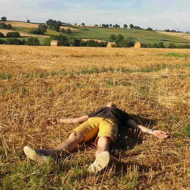 espachspm's profile picture. Catalunya, Barça, Natura, Cinema... 🦉🍻🏃🏽‍♂️💙❤