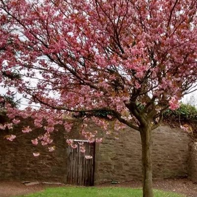 labroll's profile picture. Doesn’t work for the Secret Service