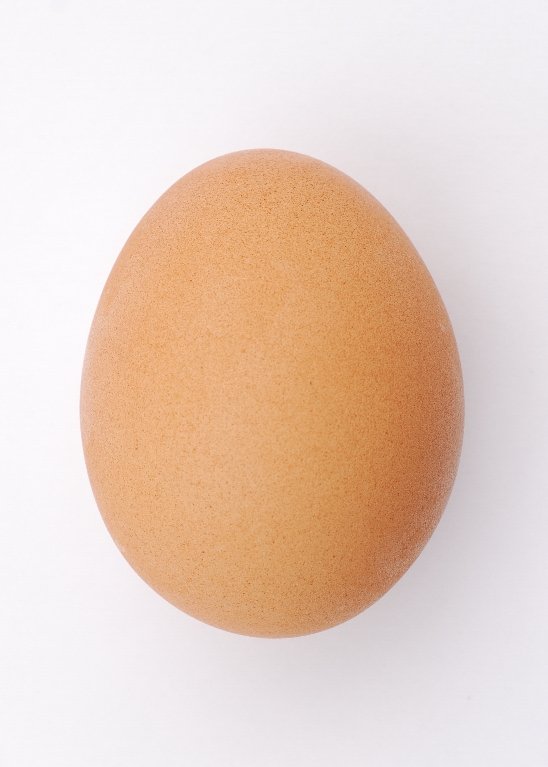 Koio19's profile picture. 
