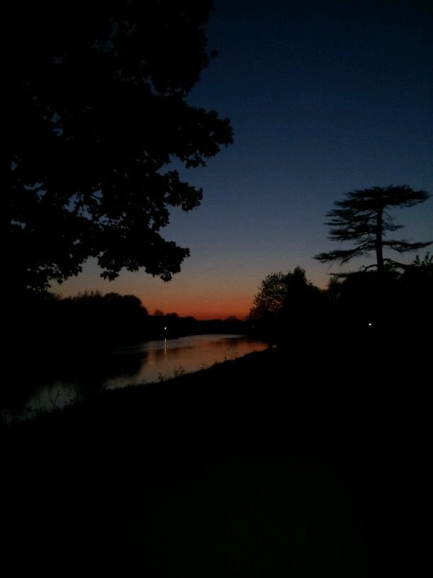 HollySandness's profile picture. 