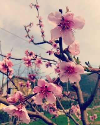 Diana1N23456's profile picture. If you really want to do something, you will find a way. If you don't, you'll find an excuse.