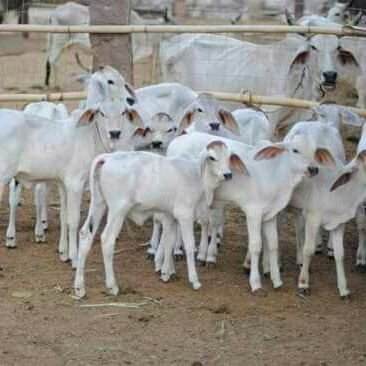 789e9436e1b34c0's profile picture. 