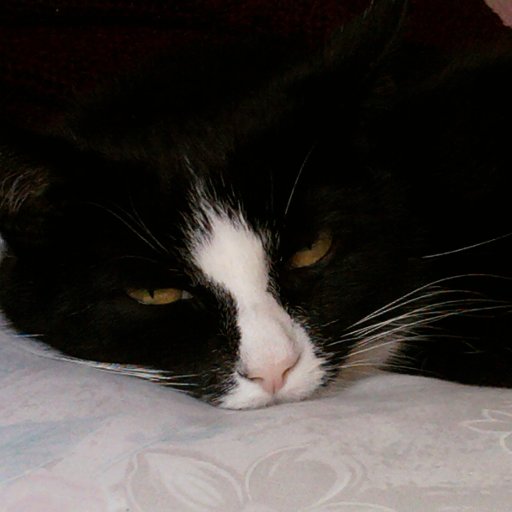 The Weary, Cranky Old Woman π Profile