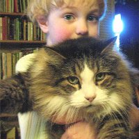 Jenny Duncan (@deliapask) 's Twitter Profile