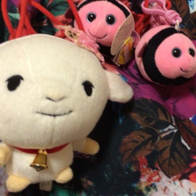 totteokioterebi's profile picture. 東のボルシャックが目覚める時、西のボルザードが咆哮する