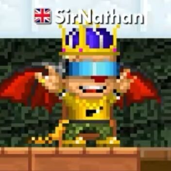 SirNathanPW Profile Picture