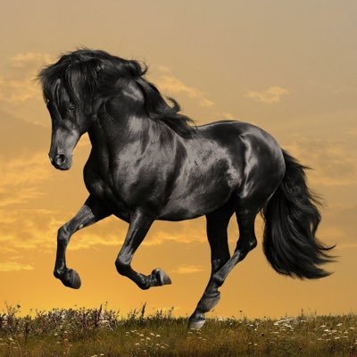 hmominn's profile picture. Aspiring Medic ⛑