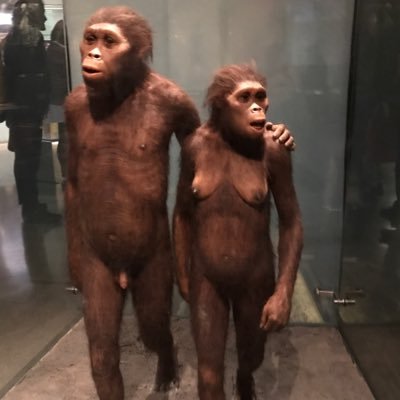 JuanFerHidalgo's profile picture. 