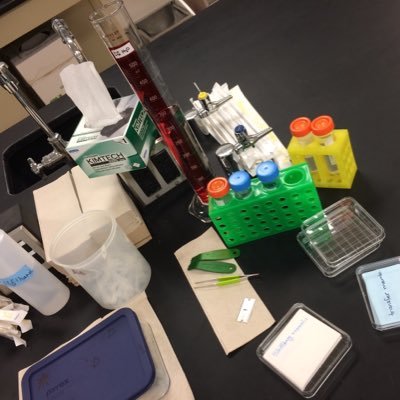 صيدلانية/دكتوراة كيمياء دوائية PhD, Medicinal Chemistry, Pharmacy college, @Utoledo USA. مهتمة بالتثقيف الصحي، مواضيعي في مدونتي👇🏼واللحظات