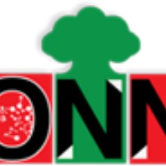 Oromia News Network Profile