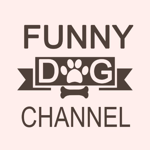 Funny and cute dog clip collections for everyone ^_^. Hope you like my videos, if you do, please share my work and FOLLOW me