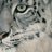 LondonLeopard's profile image