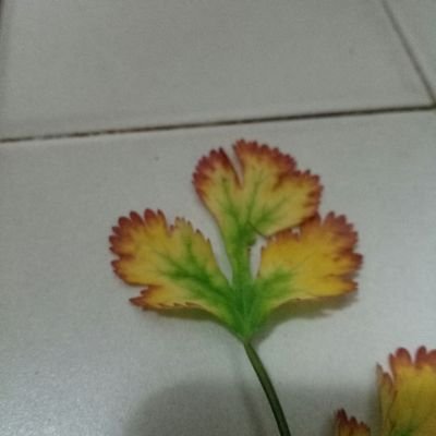 mdperl's profile picture. 