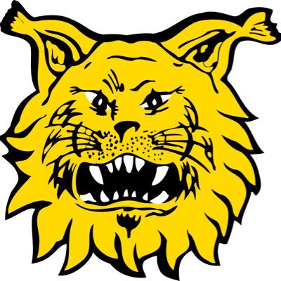 Ilves_P05's profile picture. Ilves jalkapallon 2005 syntyneiden poikien edustusjoukkue.