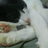 ruth17f's profile image