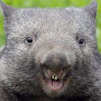 Alexandre mazet (@alexmazet) 's Twitter Profile