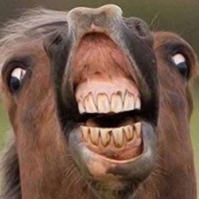 tittadetsnoar's profile picture. 