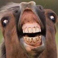 Magnus Persson (@tittadetsnoar) 's Twitter Profile Photo Magnus Persson (@tittadetsnoar) 's Twitter Profile Photo